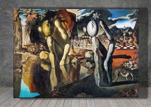 Salvador dali metamorphose - dali, der