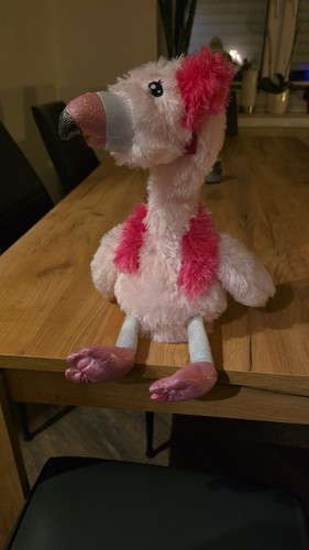 Singender flamingo - singender,