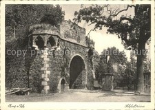 Zons Rhein NRW Schlossruine