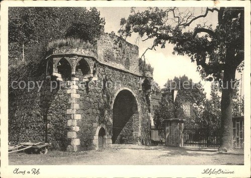 Zons rhein nrw schlossruine - rhein,