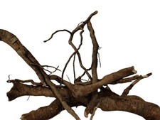 Wurzel Paradies XL Reptilien