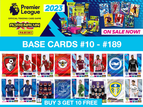 Panini premier league - premier,