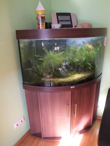 Aquarium kombination mit - aquarium,