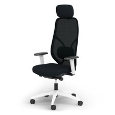 Ergotopia MasterBack ergonomischer Bürostuhl Schreibtischstuhl - B-WARE