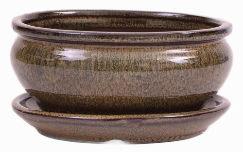Bonsai schale oval - bonsai-schale, ×