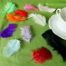 Deko FEDERN 25 Stck  ca. 6-10