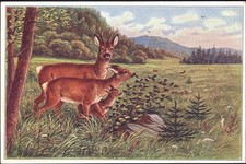 20032530 - Rehfamilie auf der Wiese, Serie 4 Thierfamilien No. 4, Sign. T.