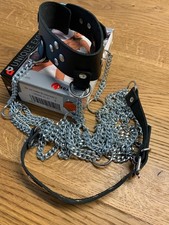 BH Leder Halsband Gürtel