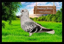 Fußmatte Taube Hamburger Sticken lichtblau gehämmert F2510