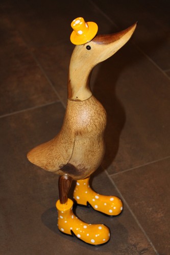 Ente mit hut - ente, und