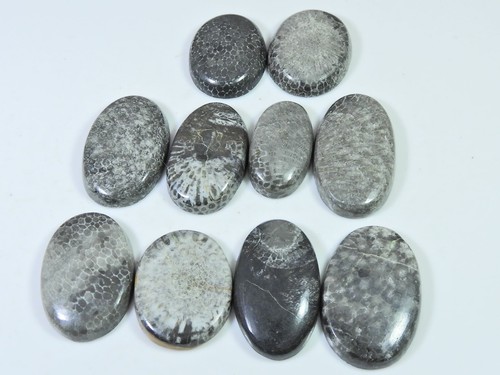 260cts natürliche schwarze - 260cts.,