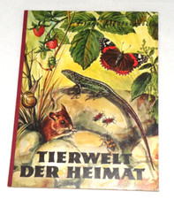 Z1 Franz Pfützenreiter Herba