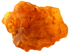 bernstein copaL natural @13 grs