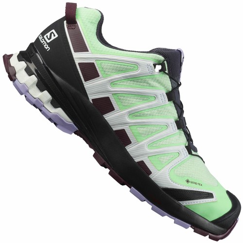 Salomon pro v8 gtx - salomon,