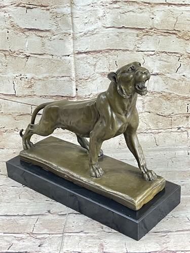 Selten jaguar panther - selten,