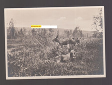 B 955/AK Ostpreußen-Kuhrische