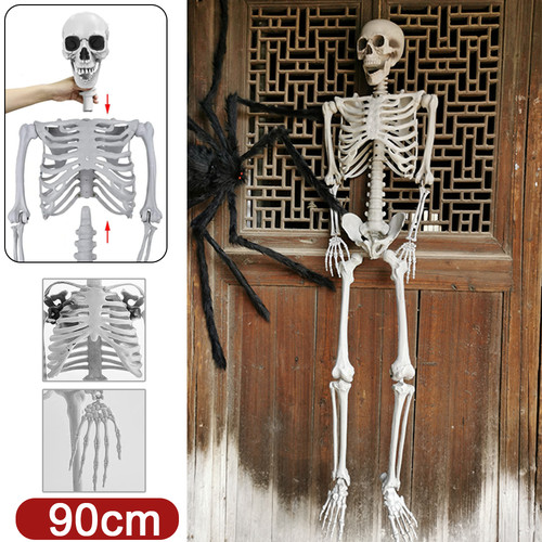 Skelett halloween 90cm - skelett,