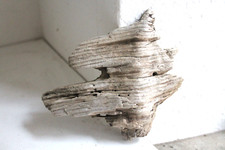 Schwemmholz Treibholz Skulptur