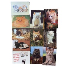 Postkarten katzen - postkarten,