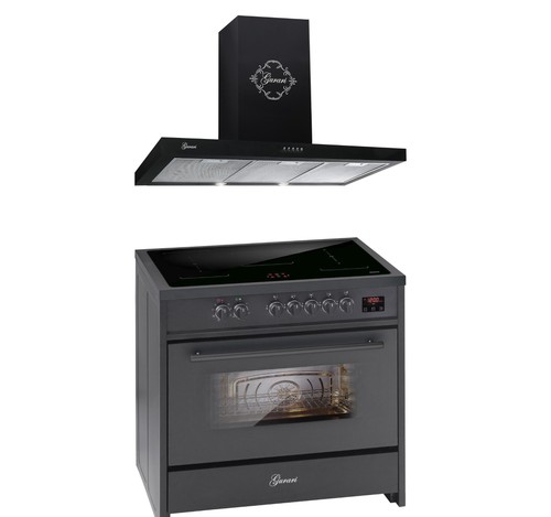 Gurari 913 induktions - e,
