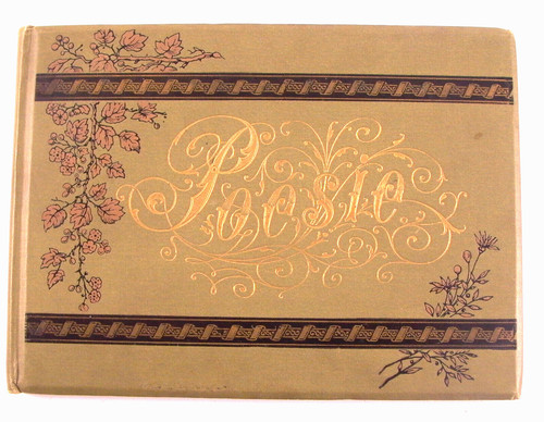Schönes poesiealbum 1890 - schönes,