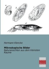 Mikroskopische Bilder