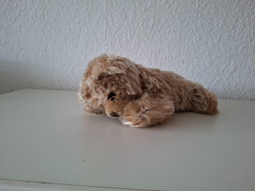 Steiff teddy bär - , liegend