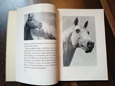 1935 Hauptgestüt Trakehnen *