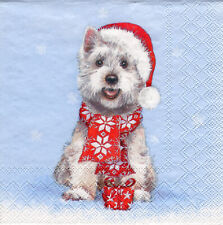 3 Servietten~ Weihnachten, Winter, Hund mit Mütze und Schal, Westie ~ 33x33