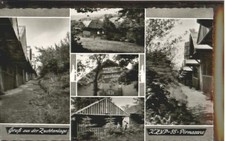 Pirmasens Zuchtanlage Kaninchen ungelaufen ca. 19