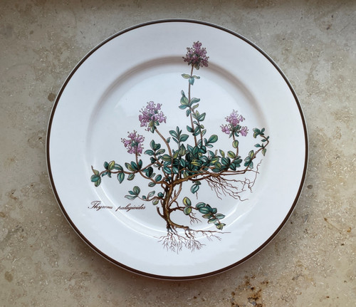 Villeroy boch botanica - &,
