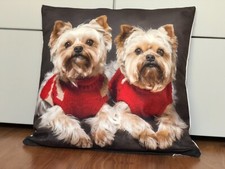 *Yorkshire Terrier Zwillinge*