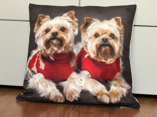 Yorkshire terrier zwillinge - *yorkshire,