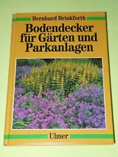 Bodendecker für Gärten und