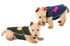 Hundemantel Jeans schwarz oder