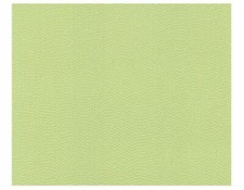 P+S Tapete Vlies Dieter Bohlen