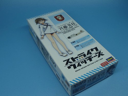 Hasegawa yoshika miyafuji - yoshika,