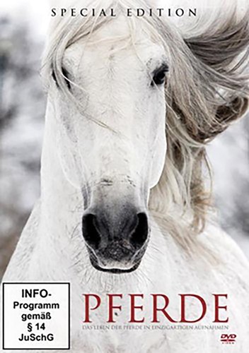 Pferde - , /