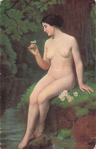 Kamillenblüte nackte - kamillenblüte,,