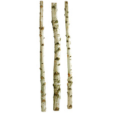 Riesen-Birkenstamm Deko-Stamm Birken-Deko echter Birkenstamm natur 3 Stück