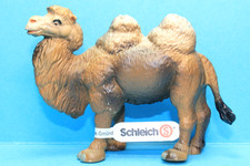 Schleich 14026 trampeltier - -,