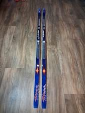 Langläufer ski skier - ski,