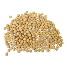 Sojabohnen Natur – 100%