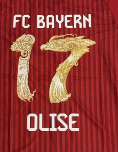Bayern trikot mit hongkong - fc,
