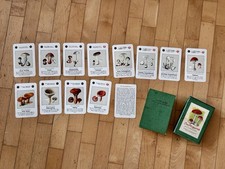 Das Pilzquartett, Bielefelder