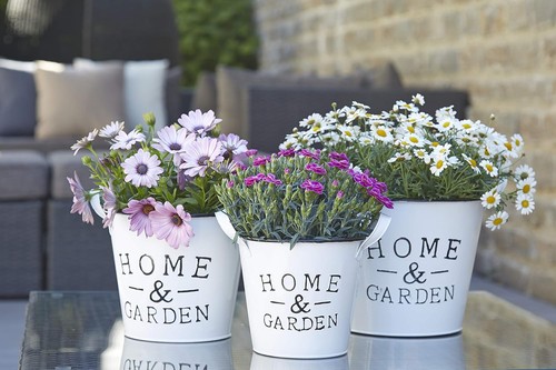 Wunderschönes zink - wunderschönes,