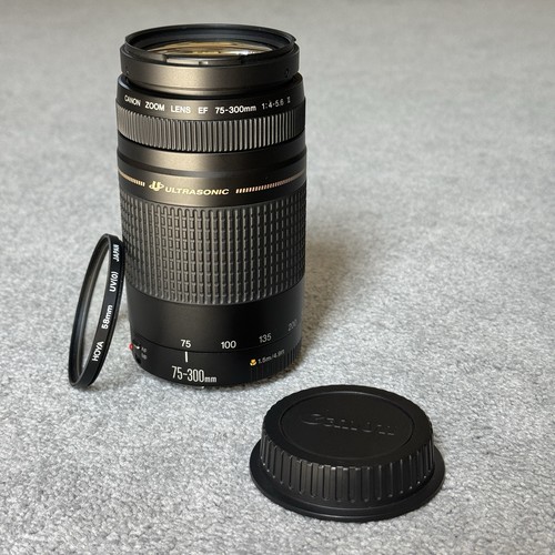 Canon 300mm 5 - f/4-5.6, ii