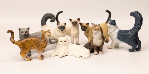 Rarität schleich katzenserie - raritÄt!,