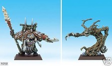 Confrontation Rackham -