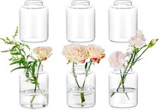 Glasseam Glas Vasen Set für Home: 6er Vase Klein für Haus Wohnzimmer